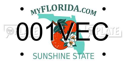 001VEC Florida License Plate