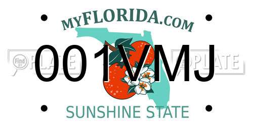 001VMJ Florida License Plate