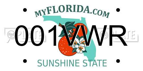 001VWR Florida License Plate