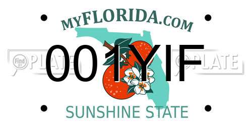001YIF Florida License Plate