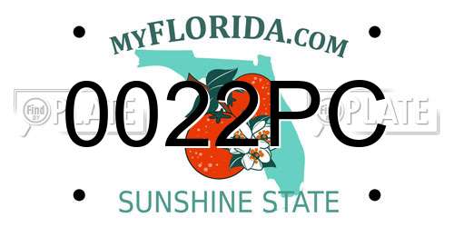 0022PC Florida License Plate