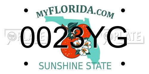 0023YG Florida License Plate