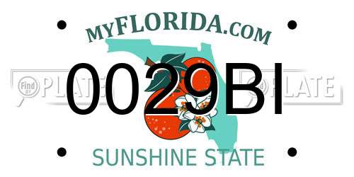 0029BI Florida License Plate