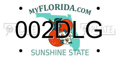 002DLG Florida License Plate