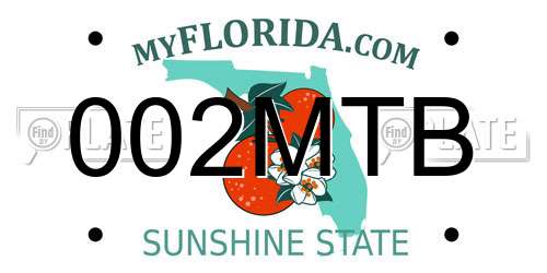 002MTB Florida License Plate