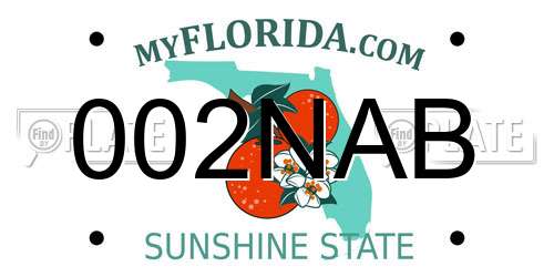 002NAB Florida License Plate