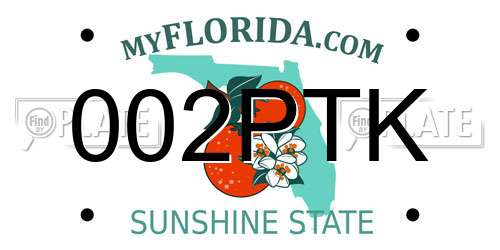 002PTK Florida License Plate