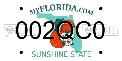 002QC0 Florida License Plate