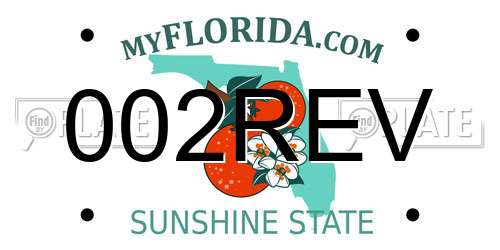 002REV Florida License Plate