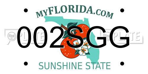 002SGG Florida License Plate