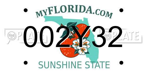002Y32 Florida License Plate