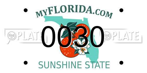 0030 Florida License Plate