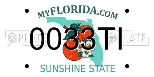 0033TI Florida License Plate