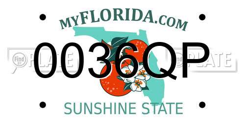 0036QP Florida License Plate