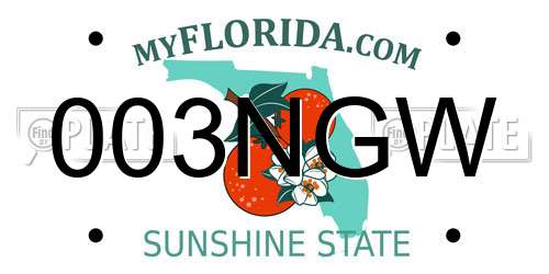 003NGW Florida License Plate