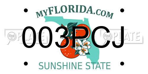 003PCJ Florida License Plate