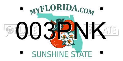 003PNK Florida License Plate