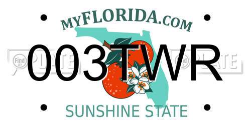 003TWR Florida License Plate