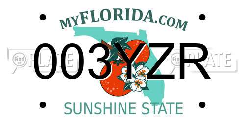 003YZR Florida License Plate