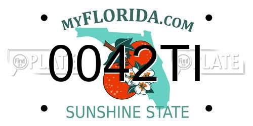 0042TI Florida License Plate