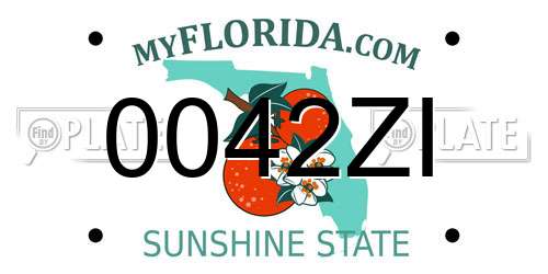0042ZI Florida License Plate