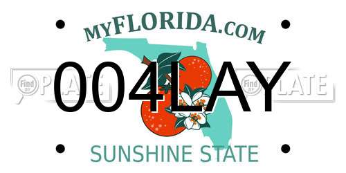 004LAY Florida License Plate