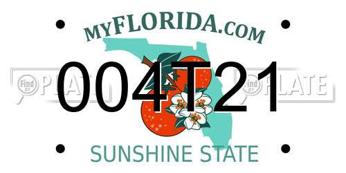 004T21 Florida License Plate
