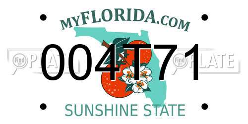 004T71 Florida License Plate