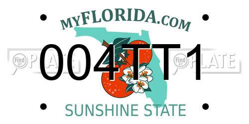 004TT1 Florida License Plate