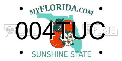 004TUC Florida License Plate