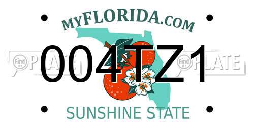 004TZ1 Florida License Plate
