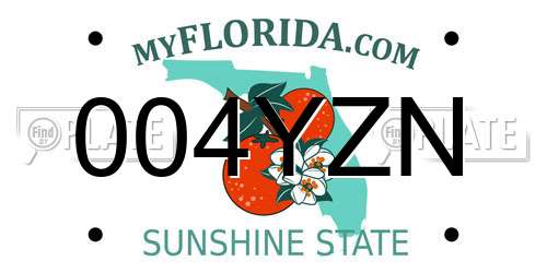 004YZN Florida License Plate