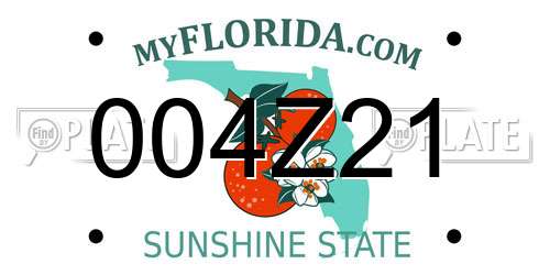 004Z21 Florida License Plate