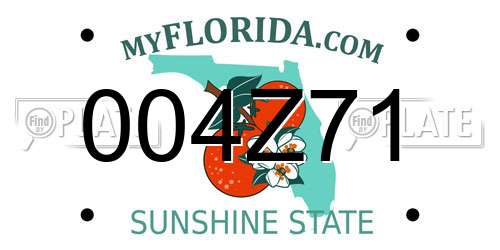 004Z71 Florida License Plate