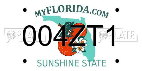 004ZT1 Florida License Plate