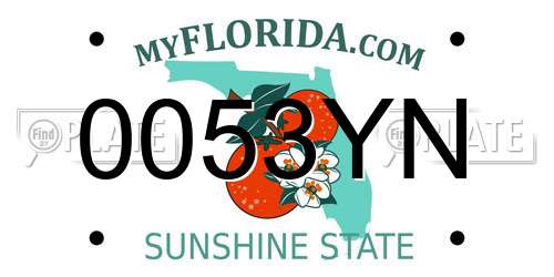 0053YN Florida License Plate