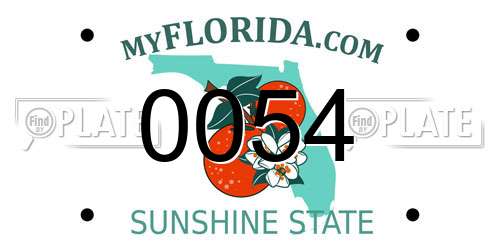 0054 Florida License Plate