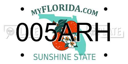 005ARH Florida License Plate