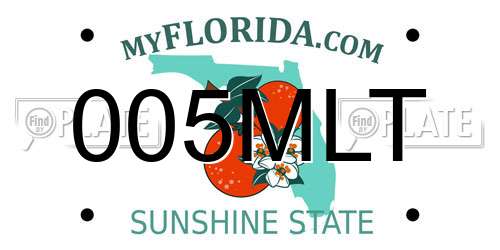 005MLT Florida License Plate