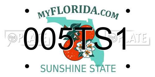 005TS1 Florida License Plate