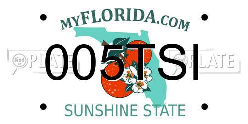 005TSI Florida License Plate