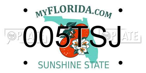005TSJ Florida License Plate