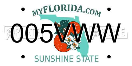 005VWW Florida License Plate