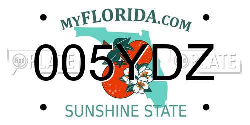 005YDZ Florida License Plate