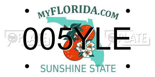 005YLE Florida License Plate