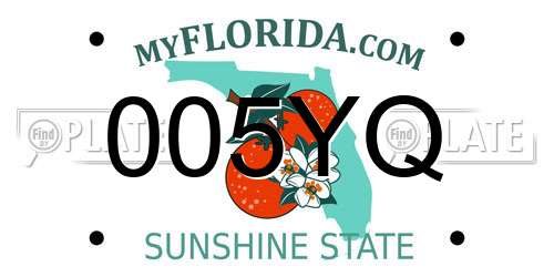 005YQ Florida License Plate
