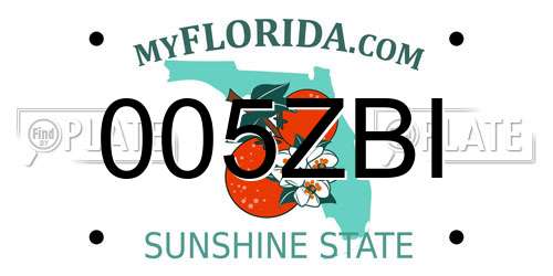 005ZBI Florida License Plate