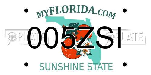 005ZSI Florida License Plate