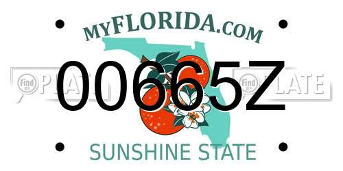00665Z Florida License Plate