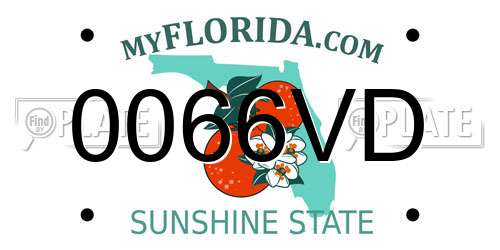 0066VD Florida License Plate